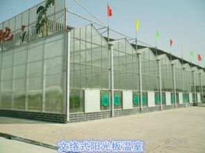 【陽(yáng)光板溫室和薄膜溫室有什么區(qū)別,各有什么優(yōu)缺點(diǎn)_陽(yáng)光板溫室價(jià)格|圖片】-